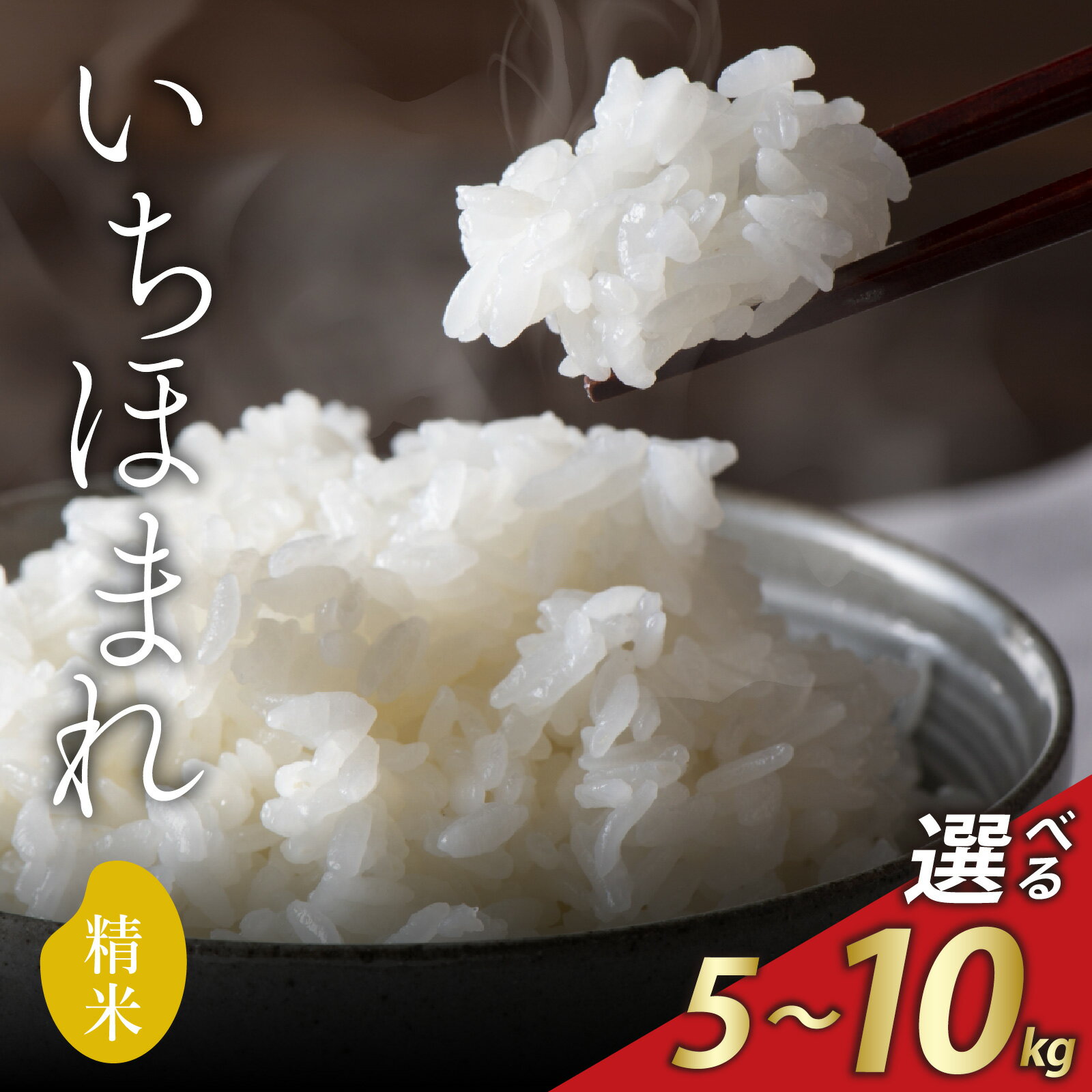 【ふるさと納税】令和7年産 新米 福井県産いちほまれ 選べる容量 5～10kg / ブランド ブランド米 米 お米 コメ いちほまれ 送料無料 数量限定 在庫あり 5kg 10kg おすすめ 福井 令和7年産 新米 精米 単一原料米 [A-030009]