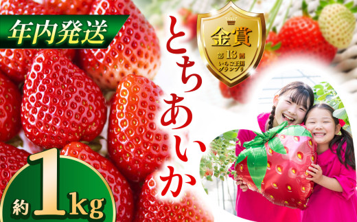 【先行予約】【12月発送】とちあいか約1kg | 送料無料 とちあいか いちご フルーツ 甘い ジューシー苺 ｲﾁｺﾞ ハート ハート型 ﾊｰﾄ 断面 果物 おいしい 栃木県 下野市