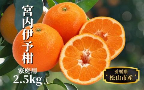 【宮内伊予柑】家庭用 約2.5kg <2026年2月～3月中旬頃発送> みかん 柑橘 フルーツ 伊予柑 果物 愛媛 松山