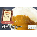 【ふるさと納税】旭屋特製　神戸牛カレー　6箱セット　【 洋食 贅沢 レトルトカレー 最高級 A5ランク 神戸ビーフ とろける 柔らかい まろやか 旨味 ランチ 夕飯 夜食 】