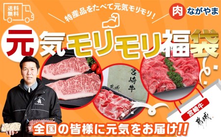 【元気モリモリ福袋】宮崎牛切り落とし・鉄板焼き用サーロイン2枚セット_AE-2501_(都城市) A4 4等級 牛肉 牛バラ切り落とし肉 牛ウデ・牛モモ切り落とし肉 各500g