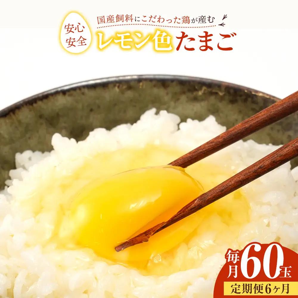 【定期便6か月】国産飼料にこだわった鶏が産む安全安心の 『レモン色たまご』60玉（55玉＋割れ保証5玉） ［Hn11］