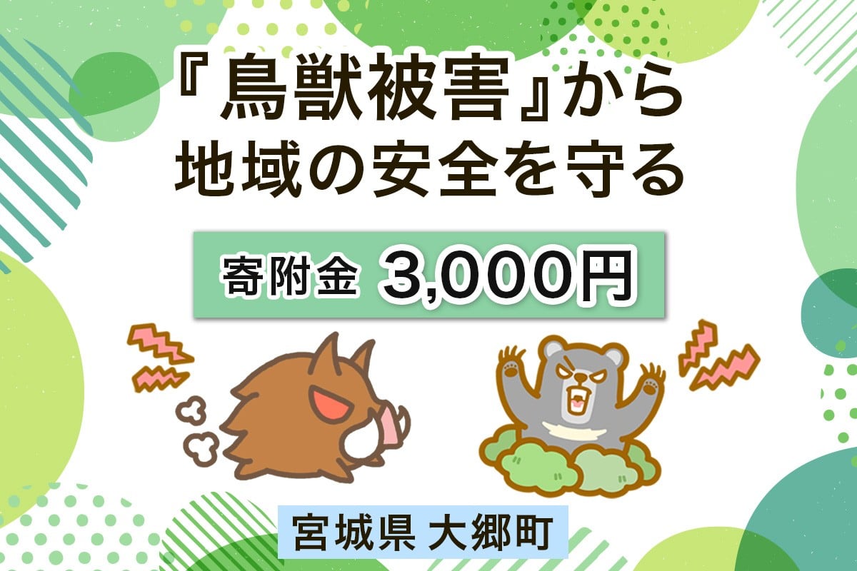 
            宮城県大郷町への寄付 (返礼品はありません) 鳥獣被害から地域の安全を守る イノシシ・熊出没防止対策・環境整備へのご支援を【寄附額3千円】｜東北 大郷町 おおさと 返礼品無し 寄附 寄付 被害防止 対策 安全確保 生活確保 熊 クマ くま 猪 イノシシ いのしし [0277]
          
