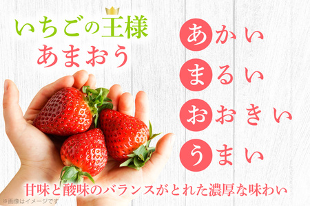 冷凍イチゴ2kg（あまおう）※2024年4月以降順次発送予定 VZ001 
