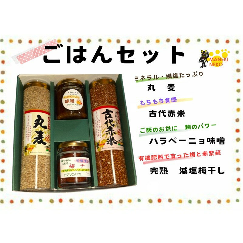 【ふるさと納税】HA1846_【一週間以内に発送】〈ギフト〉ごはんセット【アグリCATS】 丸麦 赤米 梅干し 味噌 加工品 麦ごはん ご飯のお供 無添加 農薬不使用 宗像 福岡