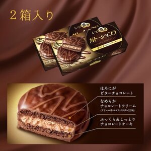 ガトーショコラ　2箱入り【配送不可地域：離島】【1516071】