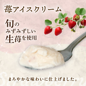 苺アイスクリーム110ml✕12個 | アイス 久保田アイス 人気アイス 厳選アイス アイスセット