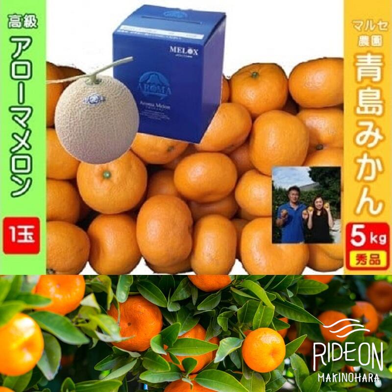 【ふるさと納税】 アローマメロン 青島みかん セット 静岡 特産品 贈答用 果物 フルーツ 高級 ギフト 農産物 旬 季節 限定 自然 甘み 香り 美味しい 濃厚 果汁 とろける 食べ頃 産地直送 新鮮 果樹園 特選 厳選 牧之原市 静岡県