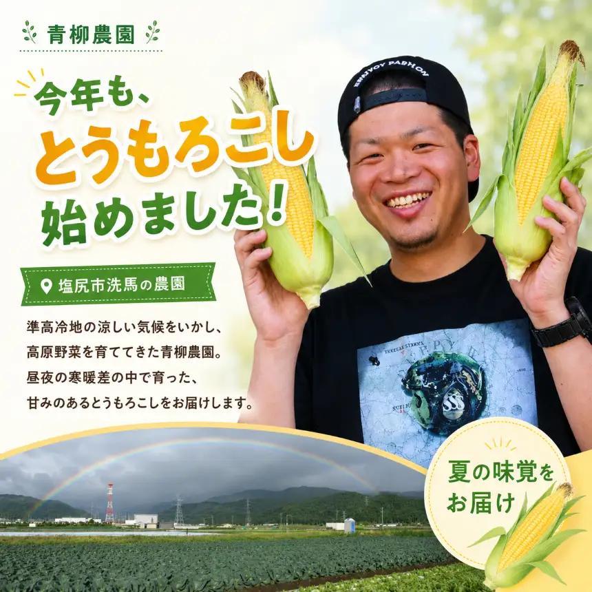 極甘スイートコーン 2L級・3L級おまかせ6本 約2.5kg （高原野菜の名産地　信州しおじり洗馬産）【8月10日～15日頃に出荷予定※不在日対応不可※】