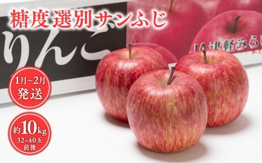
                  年明け 糖度選別サンふじ約10kg 【青森県 平川市 JA津軽みらい 1月・2月】 青森県産 平川 りんご くだもの  フルーツ 
                