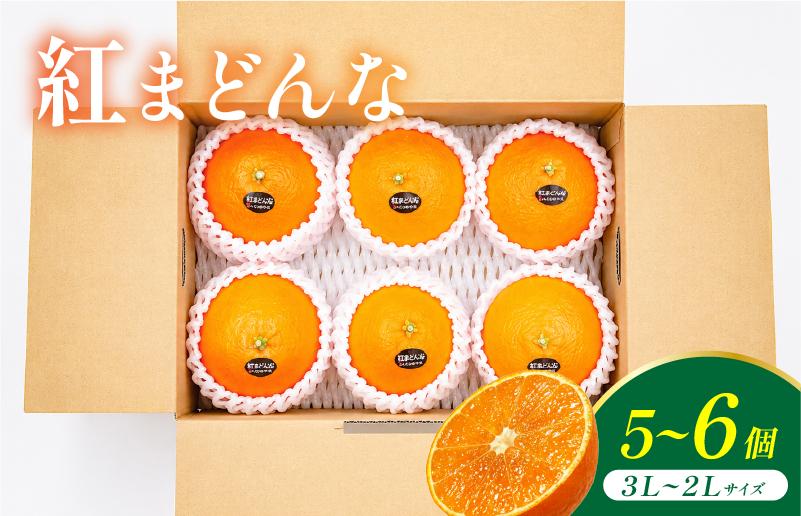 
                  紅まどんな 5~6個 3L~2Lサイズ  [K002930]
                