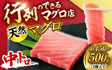 天然 まぐろ 中トロ メバチ（約450～500g（2柵入り））【横須賀商工会議所 おもてなしギフト事務局（本まぐろ直売所 横須賀本店）】[AKAK094]