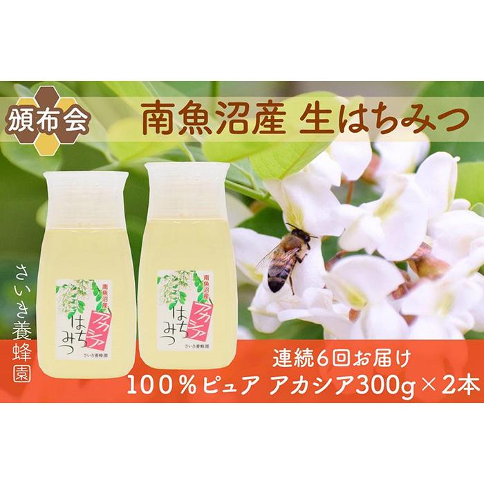 【ふるさと納税】【定期便】さいき養蜂園　非加熱蜂蜜　アカシア300g×2本　【6か月連続お届け】