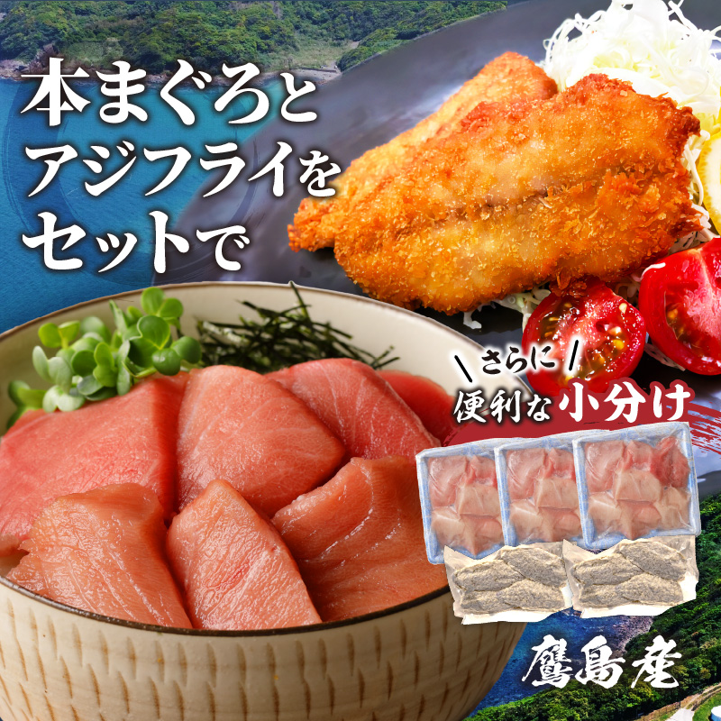 鷹島産本まぐろ食べきりサイズ・鷹島のアジフライ(フィレタイプ)セット ( 本まぐろ マグロ 鷹島産本まぐろ アジフライ あじ フィレタイプ ) 【B2-164】