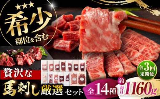 【全3回定期便】フジチクオリジナル 希少部位と贅沢なふじ馬刺し厳選セット 3897 /馬肉 馬刺し 赤身 ばさし バサシ馬刺し 馬刺 赤身 馬刺 冷凍 霜降りランプ ロース 小分け おすすめ オススメ 熊本 菊陽 馬肉 タレ付き 生姜付き あっさり ばさし 赤身【株式会社フジチク】 [BHAD084]