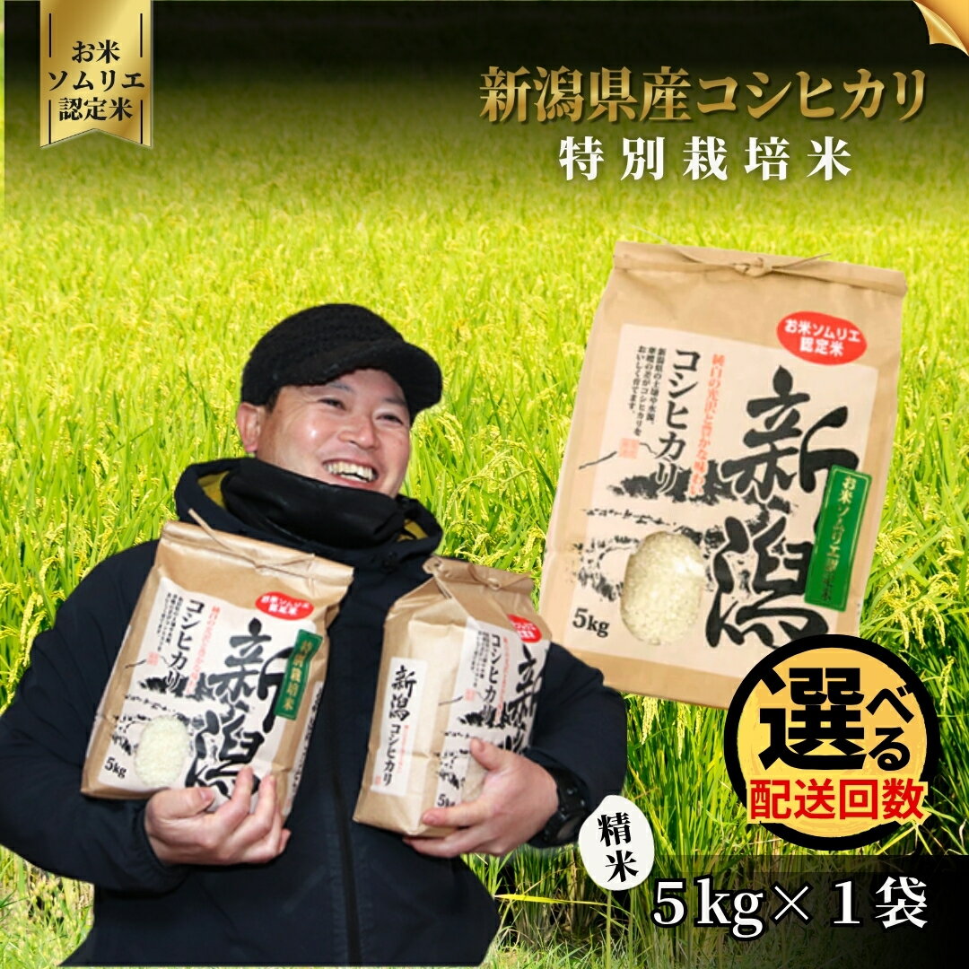 【ふるさと納税】令和7年産【お米ソムリエのお米】特別栽培米コシヒカリ 精米 5kg（5kg×1袋）五泉市四ヶ村産 米 お米 新潟県 五泉市 エバーグリーン農場