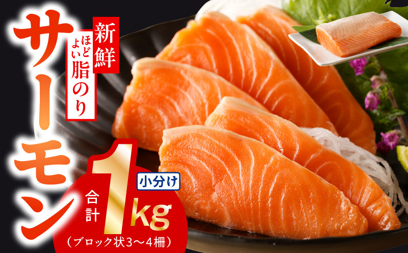 010B1719y 【年内発送】サーモン 1kg ポーション 小分け 刺身 海鮮丼 サラダ カルパッチョ
