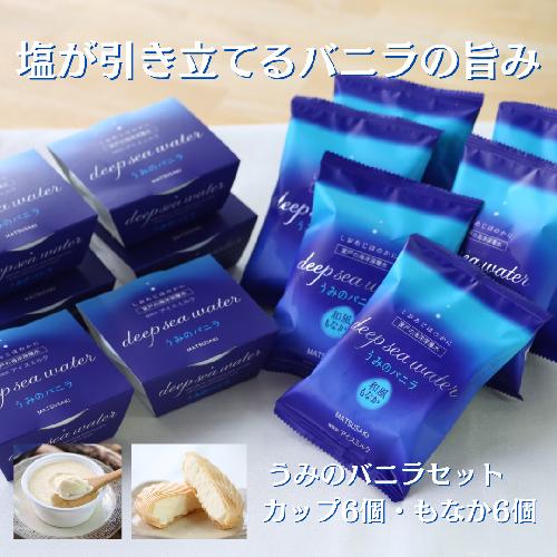 【TVで紹介！】塩バニラアイス 12個 最中 カップ 室戸海洋深層水使用 高知 アイス アイスクリーム ご当地 スイーツ ご当地スイーツ 塩 もなか 最中アイス カップアイス 詰合せ 詰め合わせ ギフト ふるさと納税