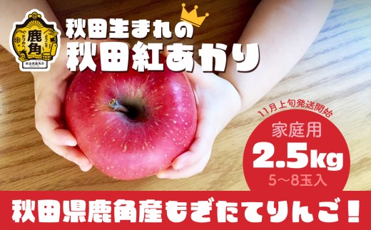 《先行予約》訳あり 秋田県鹿角産りんご 家庭用 「 秋田紅あかり 」 約 2.5kg（5～8玉入）●2026年11月上旬発送開始 【ケーケー農園】鹿角りんご かづのりんご 食感 果汁 さっぱり リンゴ 完熟 旬 県産りんご 林檎 贈り物 お見舞い グルメ ギフト 故郷 秋田 あきた 鹿角市 鹿角 送料無料