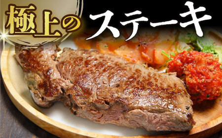 【全2回定期便】【A4～A5】長崎和牛ヒレステーキ　450g（150g×3枚）【株式会社 MEAT PLUS】[DBS157]