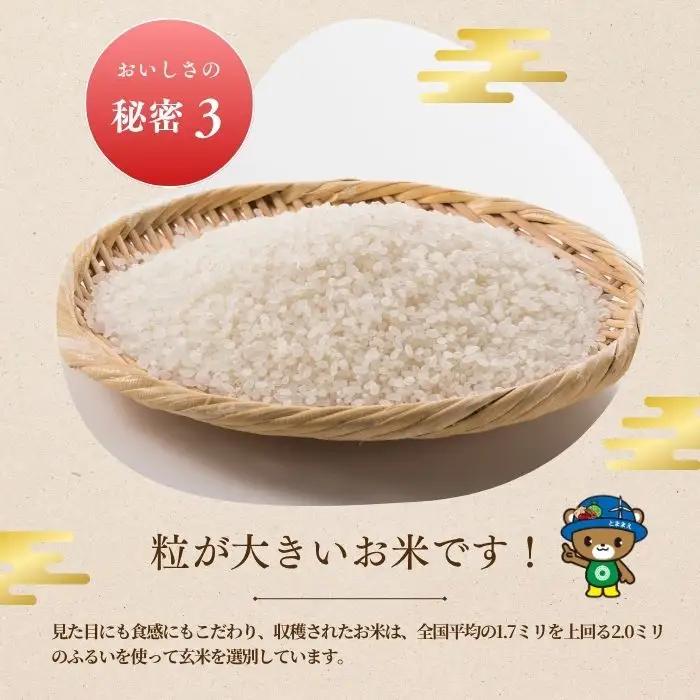 令和7年産 北海道とままえ産 ゆめぴりか 5kg 【定期便 6か月】 米 お米 北海道産 北海道米 特Aランク 国産 白米 コメ 北海道 苫前町 とままえ rum31