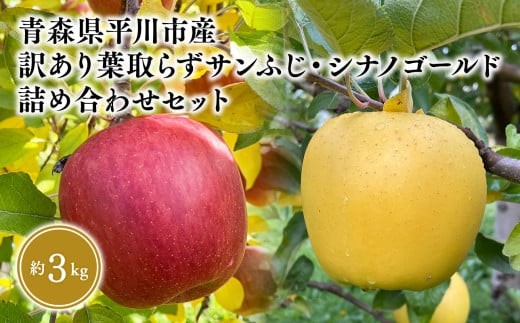 
                  ≪2026年12月上旬頃より発送≫ 訳あり 葉とらずサンふじ・シナノゴールド 詰め合わせセット 約3kg 青森県平川市産
                