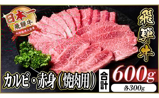 
            飛騨牛　厳選カルビ・赤身　焼肉　600g  A4～A5等級＜冷凍便＞ 黒毛和牛　BBQ用　小分け【1543762】
          