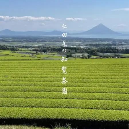 【贈答用】知覧茶園のティーバッグ「粉茶」 5袋セット【1748681】