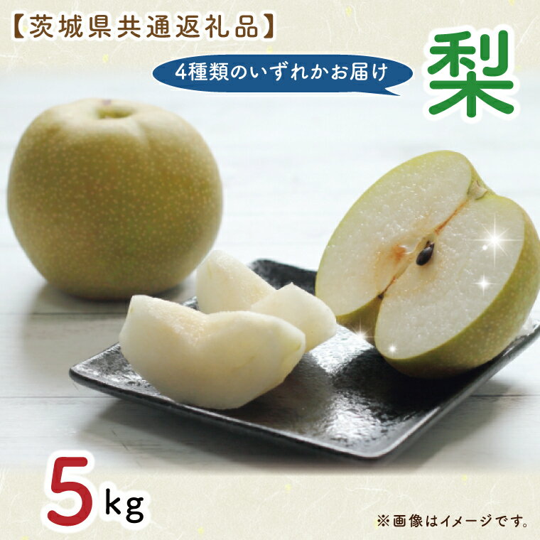 【ふるさと納税】【先行予約】【9月上旬より発送開始！】【茨城県共通返礼品】梨 5kg（石岡市、結城市、城里町、水戸市産）（KCM-15）
