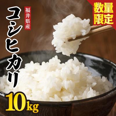 ふるさと納税 坂井市 【数量限定!】 坂井市産 コシヒカリ白米 10kg ×1袋　令和7年産 [B-3258]