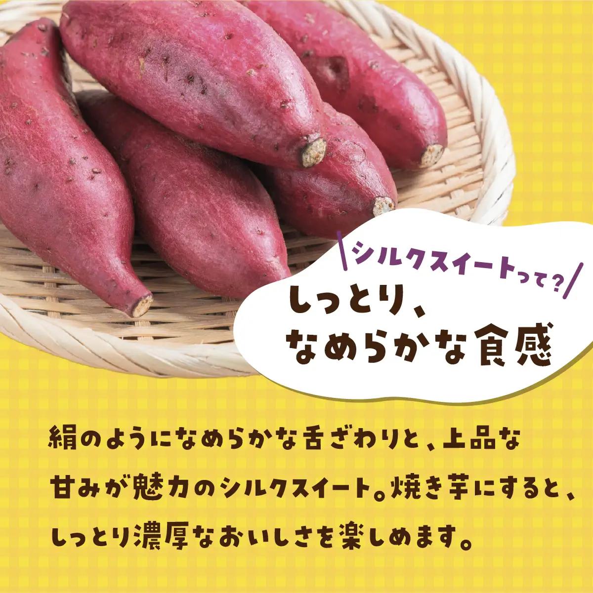 【訳あり】土付きさつまいも シルクスイート (無選別) 5kg | 新物 シルクスイート しるくすいーと