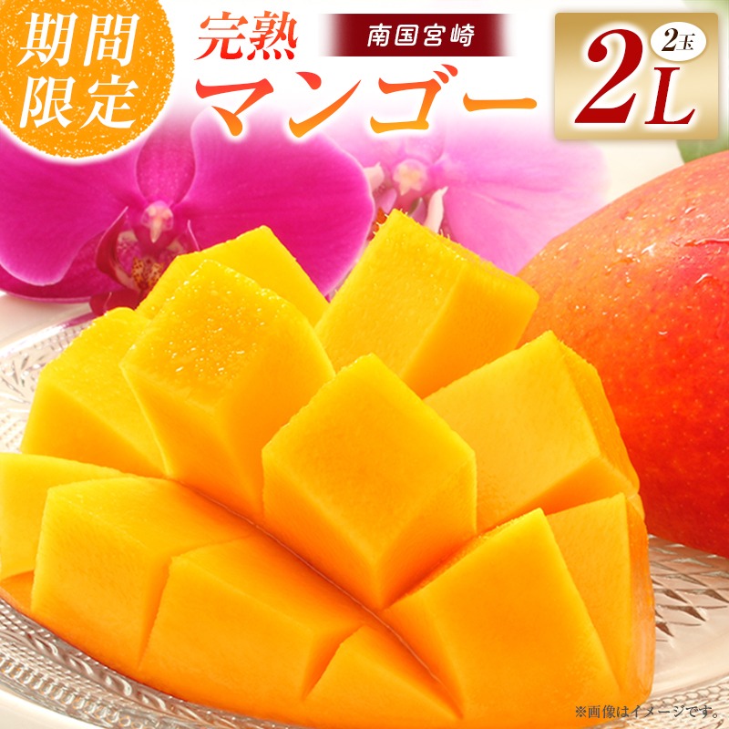 【令和8年発送 先行予約】完熟マンゴー 2L×2玉（フルーツ マンゴー 完熟マンゴー アップルマンゴー 果物 くだもの 先行受付）