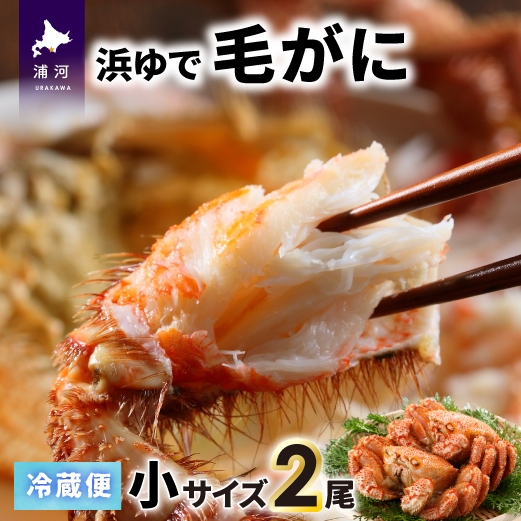 【今が旬！】漁協の浜ゆで毛がに 小サイズ２尾セット※日付指定対応不可※[02-1202]
