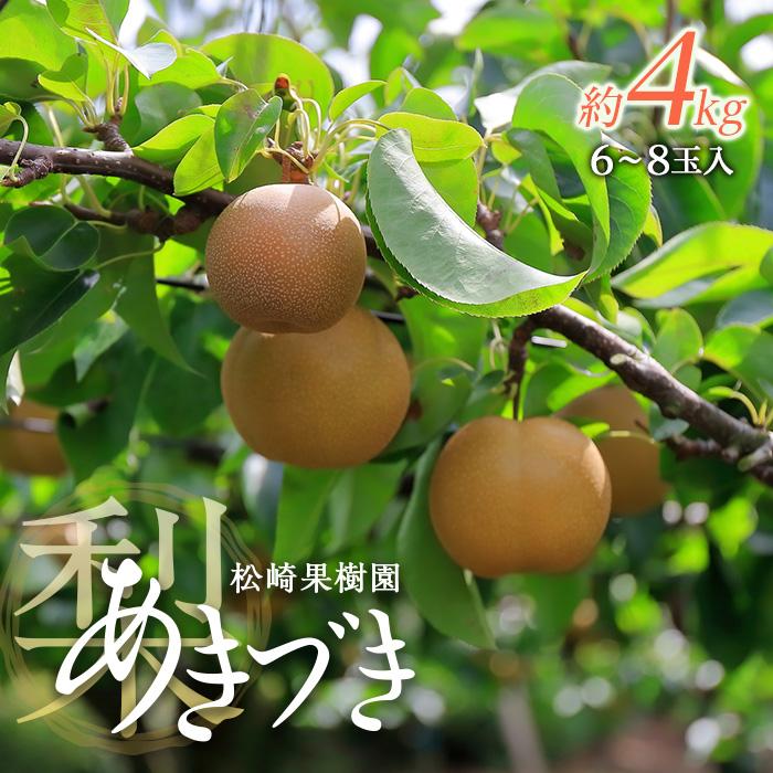 梨「あきづき」約4kg（6～8玉入）【松崎果樹園】