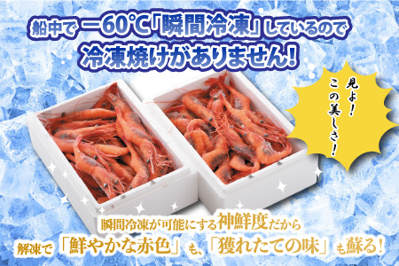 【年3回お届け】甘えび 約1.1㎏ × 3回 合計3.3㎏ 天然・鮮度抜群！ 漁船直送！ 「共栄丸」 絶品甘海老をお届け！【甘海老 甘エビ あまえび アマエビ エビ 刺身 冷凍 産地直送】 [D-23