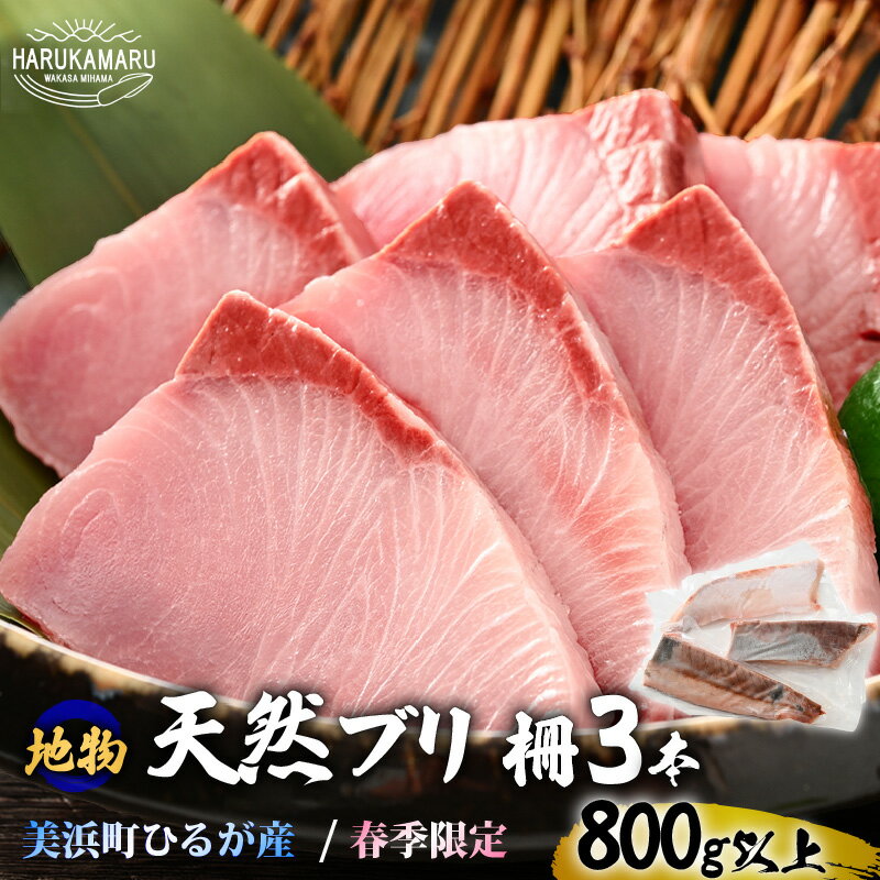 【ふるさと納税】天然！地物！ひるがの春ぶり 柵3本 刺身用【合計800g以上】魚 冷凍 真空パック フィレ 照り焼き ぶり大根 ぶりしゃぶ ぶり ブリ 鰤 ブリトロ ぶりとろ 生食 刺身 海鮮丼 日向 福井 美浜 海鮮 旬 プレゼント