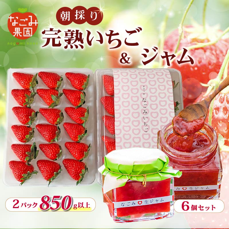 【ふるさと納税】 先行予約 選べる 発送月 1月 3月 4月 完熟いちご 紅ほっぺ 2パック 850g 以上 無添加 なごみ ジャム 6個 セット 朝採り 朝採れ 新鮮 完熟 イチゴ 土耕栽培 季節限定 フルーツ 果物 いちごジャム 静岡県産 なごみ果園 伊豆 下田 贈答 ギフト 産地直送 苺