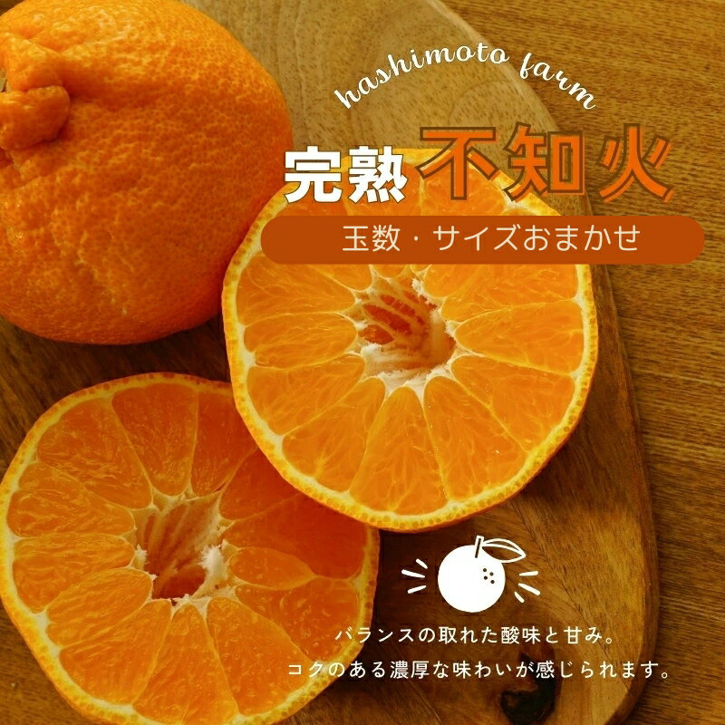 【ふるさと納税】 ＼選べる容量／ 不知火 橋本農園の 完熟不知火 玉数・サイズおまかせ 5kg or 10kg【2026年2月中旬〜3月中旬までに順次発送】 デコポン みかん ミカン 蜜柑 柑橘 果物 くだもの フルーツ 予約 人気 ジューシー 甘い 産地直送 送料無料