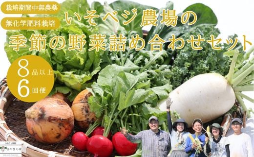 【先行受付・2025年発送】いそベジ農場の季節の野菜詰め合わせセット　定期便６回（IV-T503）