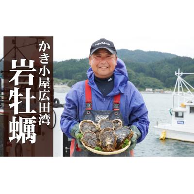ふるさと納税 陸前高田市 夏が旬! 殻付き岩牡蠣 約2kg 冷蔵 カキ 牡蠣 バーベキュー 数量限定 かき小屋広田湾