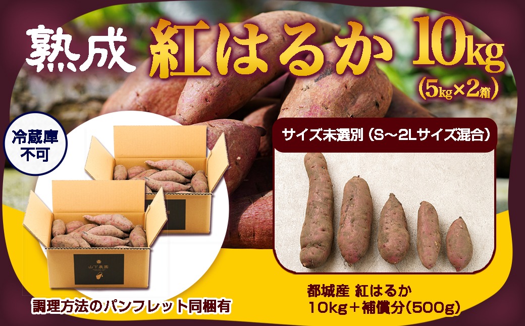 先行受付!【12月お届け】【農家直送】山下農園　熟成紅はるか 10kg_AA-I705-12