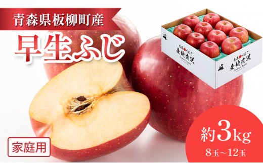 
                  【一足早くふじの味・早生ふじ】家庭用/早生ふじ/約3kg　青森県　りんご　リンゴ　林檎　フルーツ　くだもの　果物
                