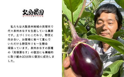 ＜先行予約＞水なす漬３種６個セット