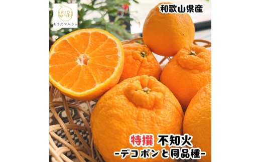 ［先行予約］特選 濃厚 不知火 1kg［MS141］