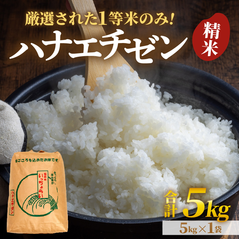 【令和8年産】【一等米】ハナエチゼン 精米 5kg ×1袋《発送直前精米！》 ／ 福井県産 ブランド米 ご飯 白米 お米 コメ 新鮮 大賞 受賞 新米 [aw012-a034]