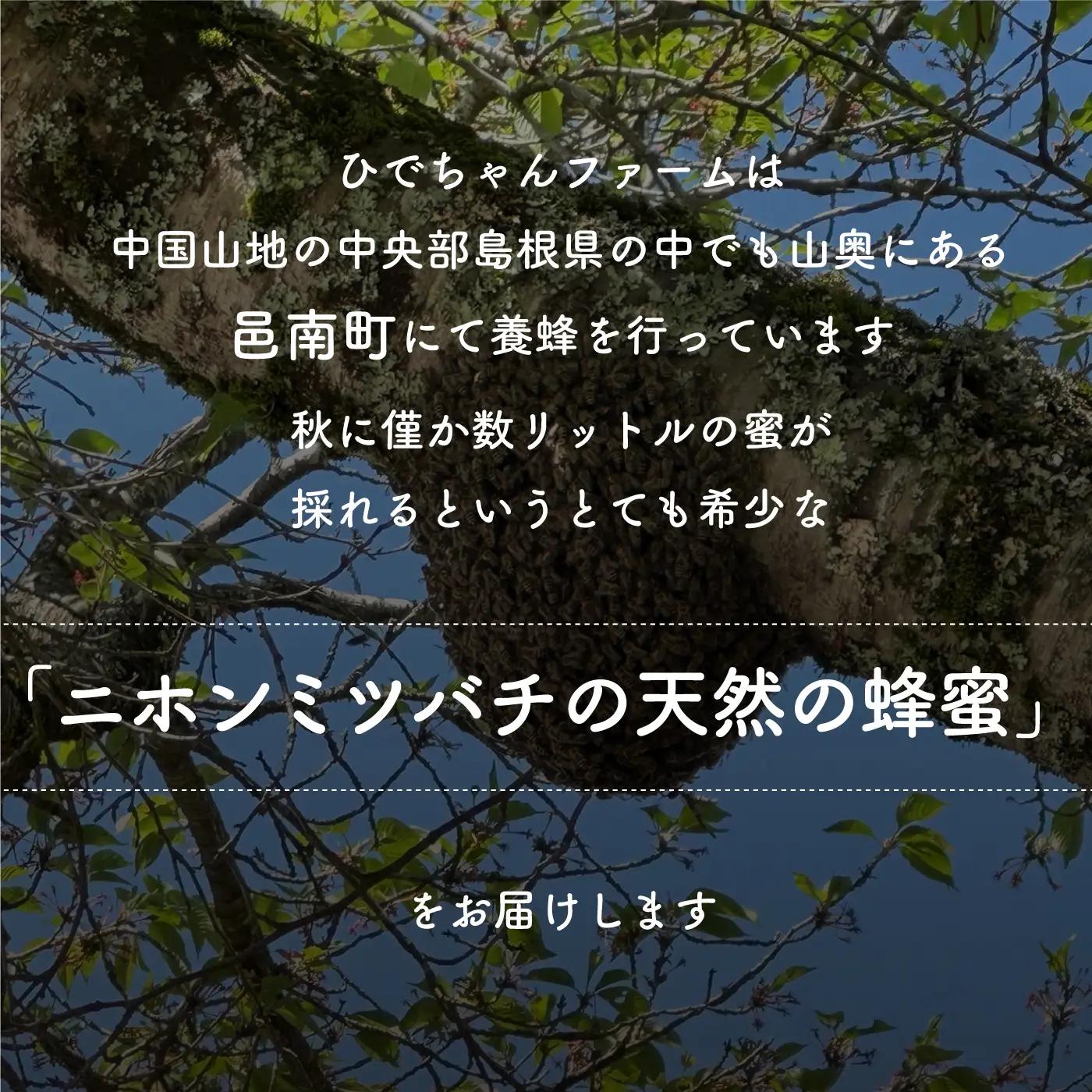 日本ミツバチ　ひでちゃんの蜂蜜