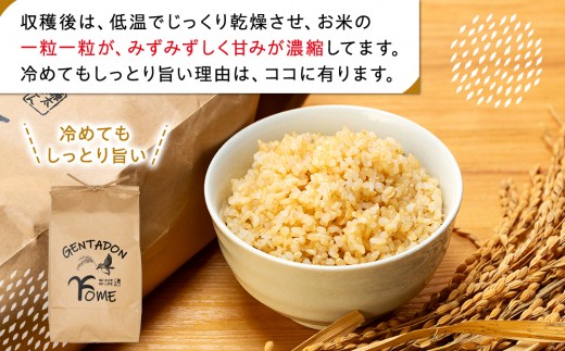 AB1-004 特別栽培米 コシヒカリ（玄米）5kg