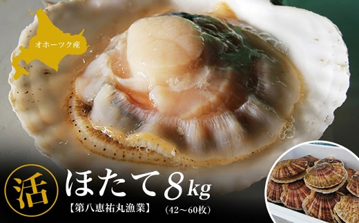 オホーツク産 『活』 ほたて 8kg（42枚～60枚） 【ふるさと納税 人気 おすすめ ランキング 魚介類 貝 ほたて ホタテ 帆立 帆立貝柱 ホタテ貝柱 ほたて貝柱 新鮮 北海道 佐呂間町 送料無料】 SRMN032