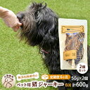 【ふるさと納税】（6回定期便）千葉県で獲れた猪ペット用ジャーキー(2個セット）100g　定期便・ ペット用品 ペットフード ペットのおやつ おやつ ご褒美 猫用 犬用 無添加 無着色 猪肉 猪肉ジャーキー