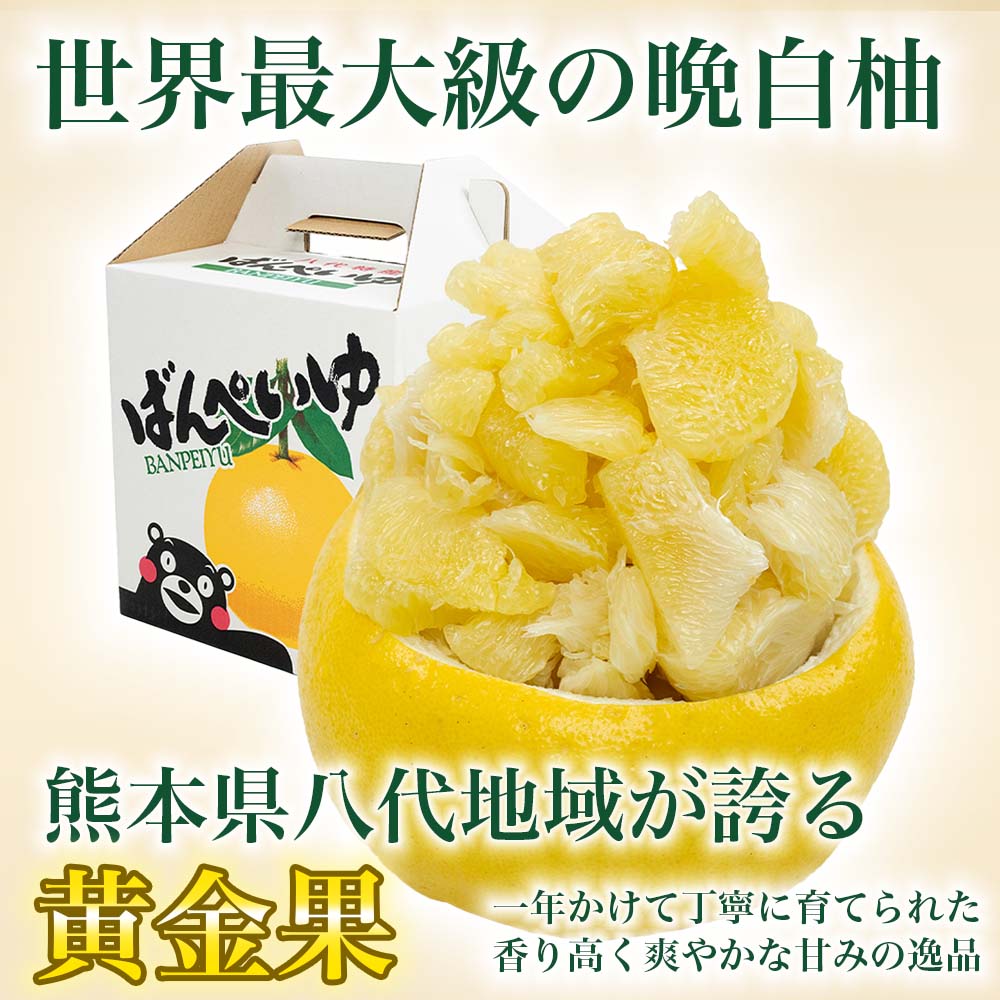 【先行予約】 晩白柚 ばんぺいゆ Lサイズ 6玉 約9kg 果物 果実 くだもの フルーツ 柑橘 柑橘類 熊本県 八代市 【2026年12月上旬より順次発送】